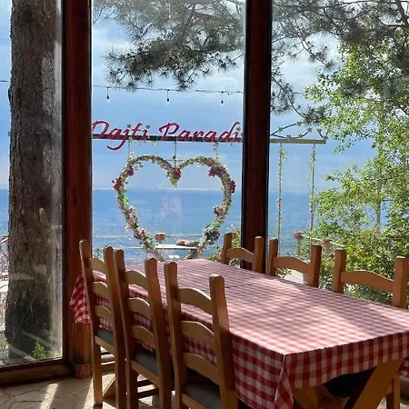 Villa Dajti Paradise Villas
